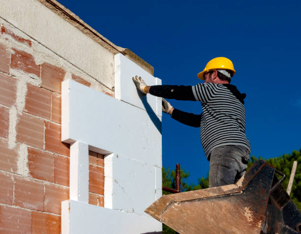 Best Commercial Insulation in Sylvania, GA