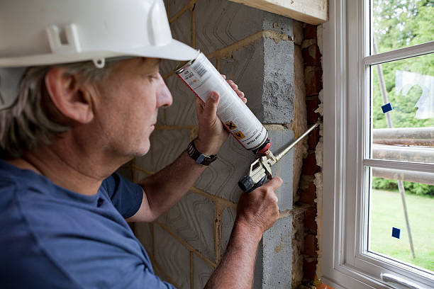 Best Geographic-Specific Insulation Services in Sylvania, GA